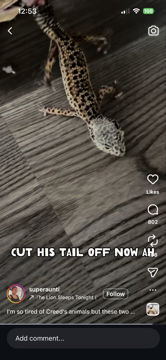 Cleora ~ Minecraft Skinner tweet media