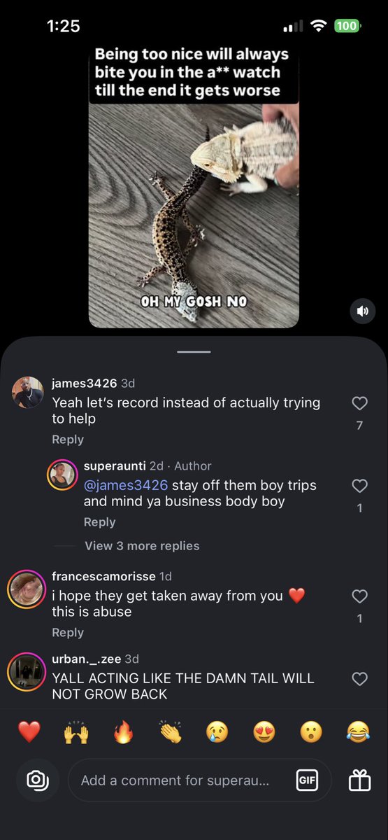 Cleora ~ Minecraft Skinner tweet media