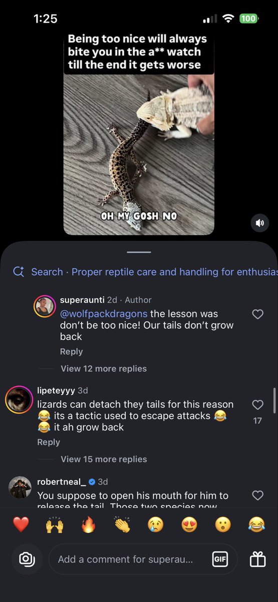 Cleora ~ Minecraft Skinner tweet media