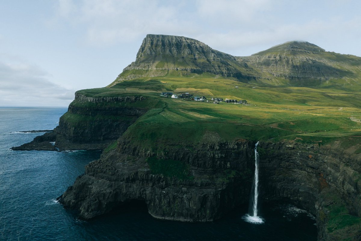 Serene 🌼 tweet media