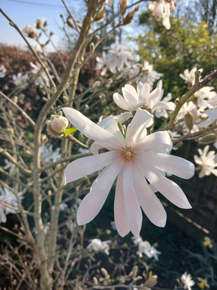 Posy Hill tweet media