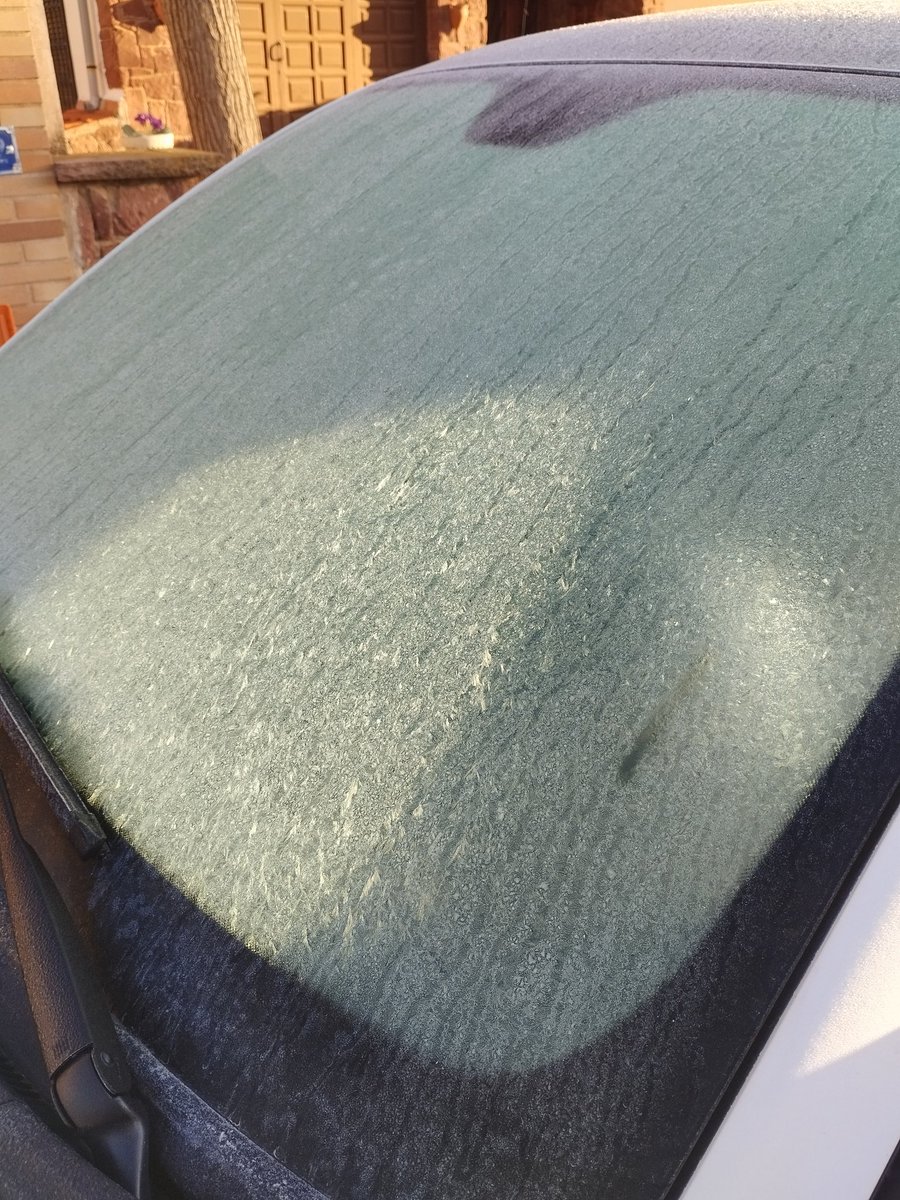 Zona Bar Rosa 🌹 tweet media