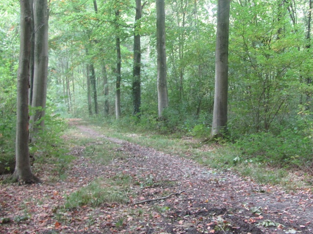 Bloglezer tweet media