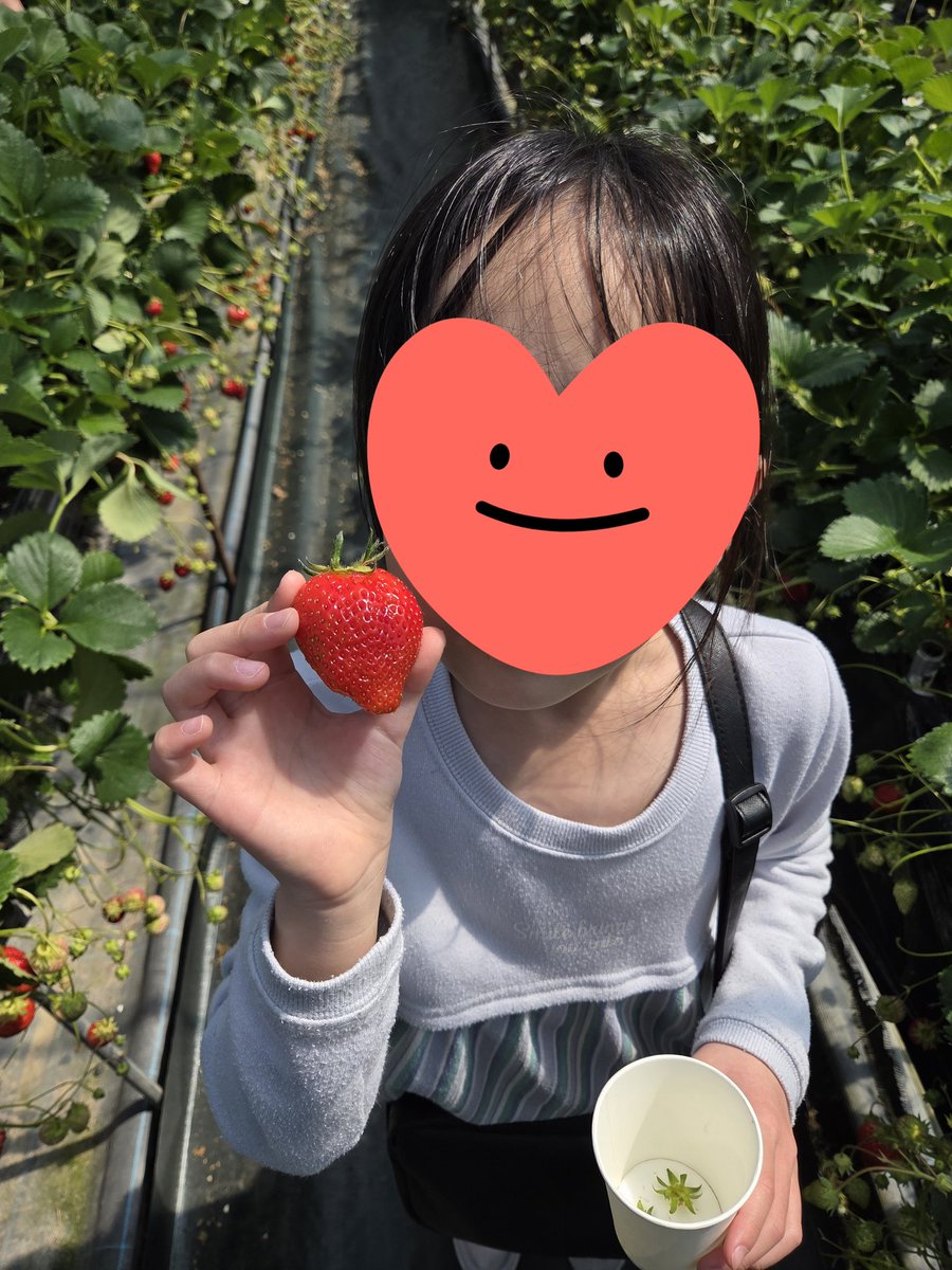 キャラバンP tweet media