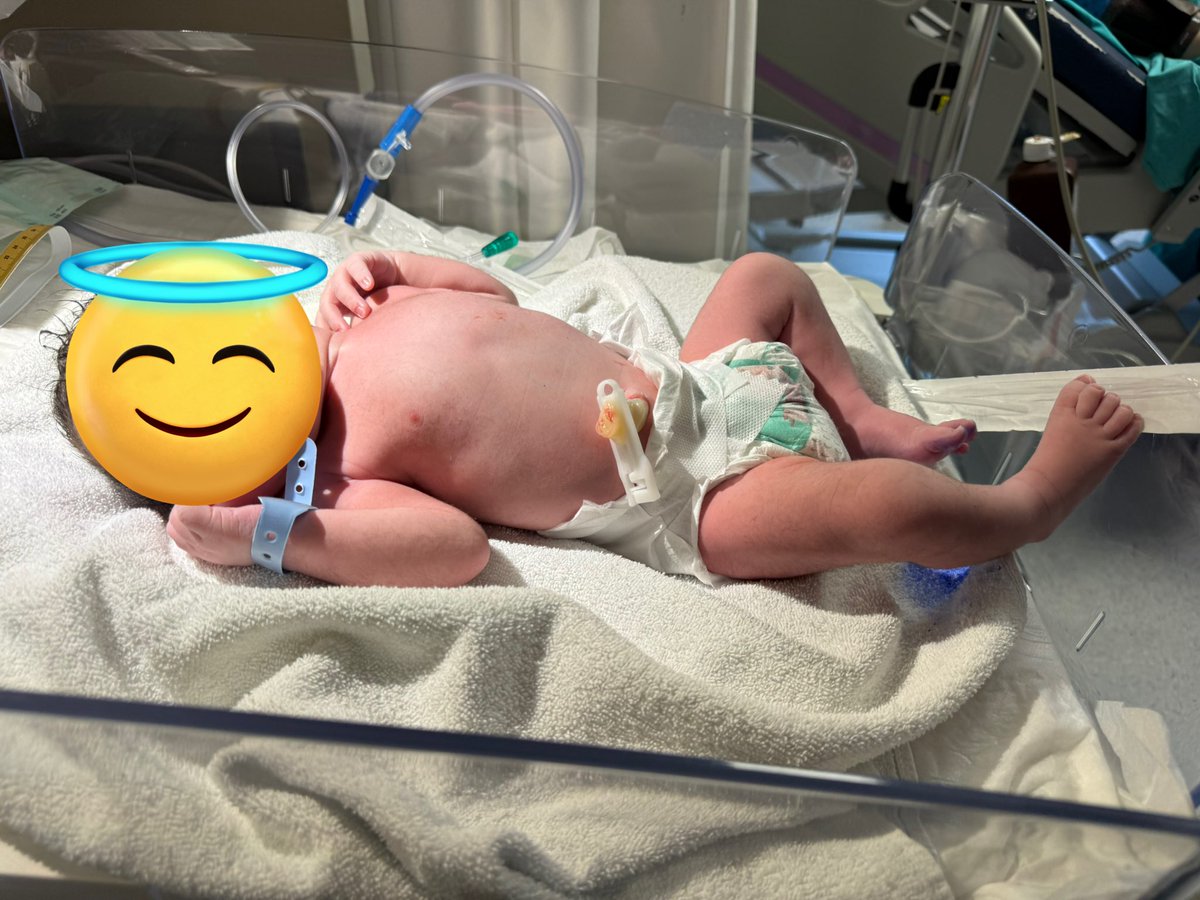 Solakoğlu tweet media