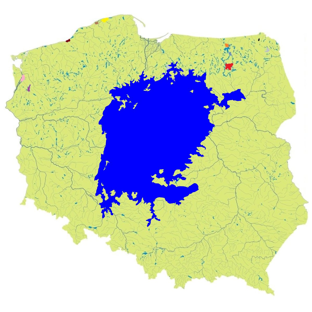 Kot Maryjny 🟡 tweet media