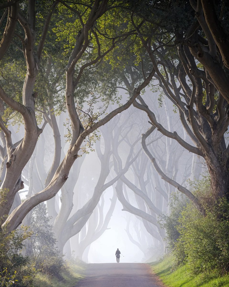 N A T U R E tweet media