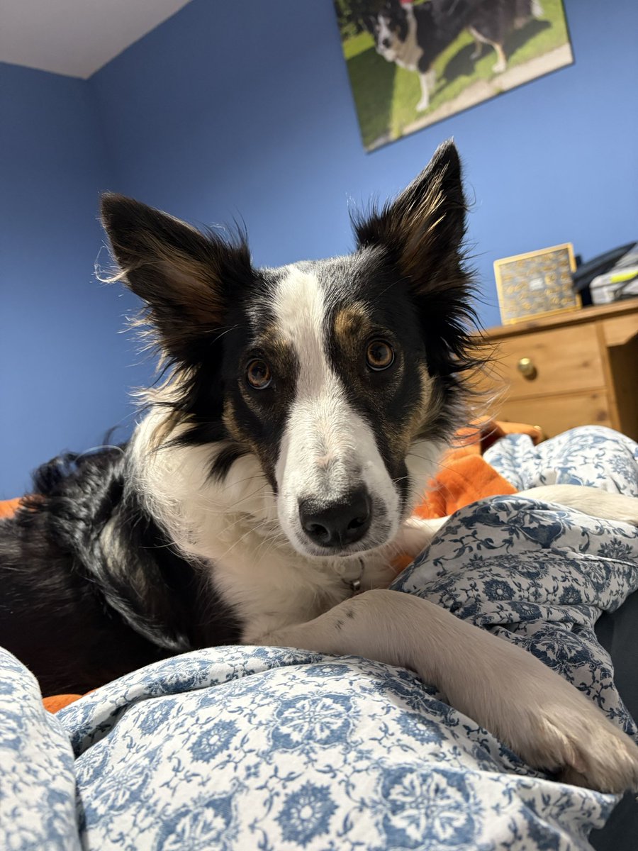 Puppy Bess and Auntie Kes tweet media