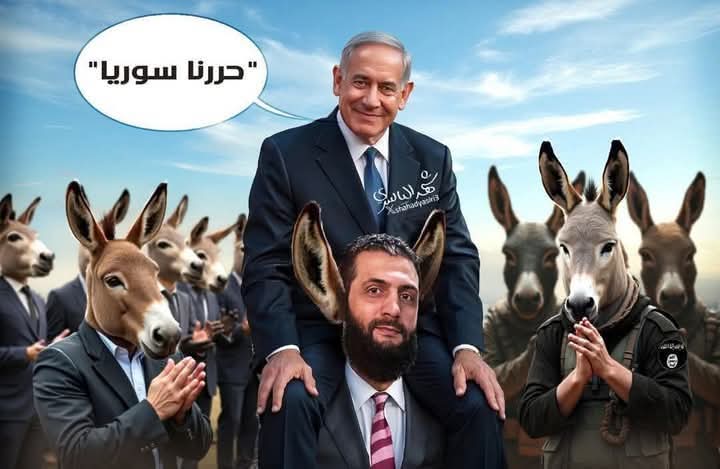 Ali Baraket tweet media