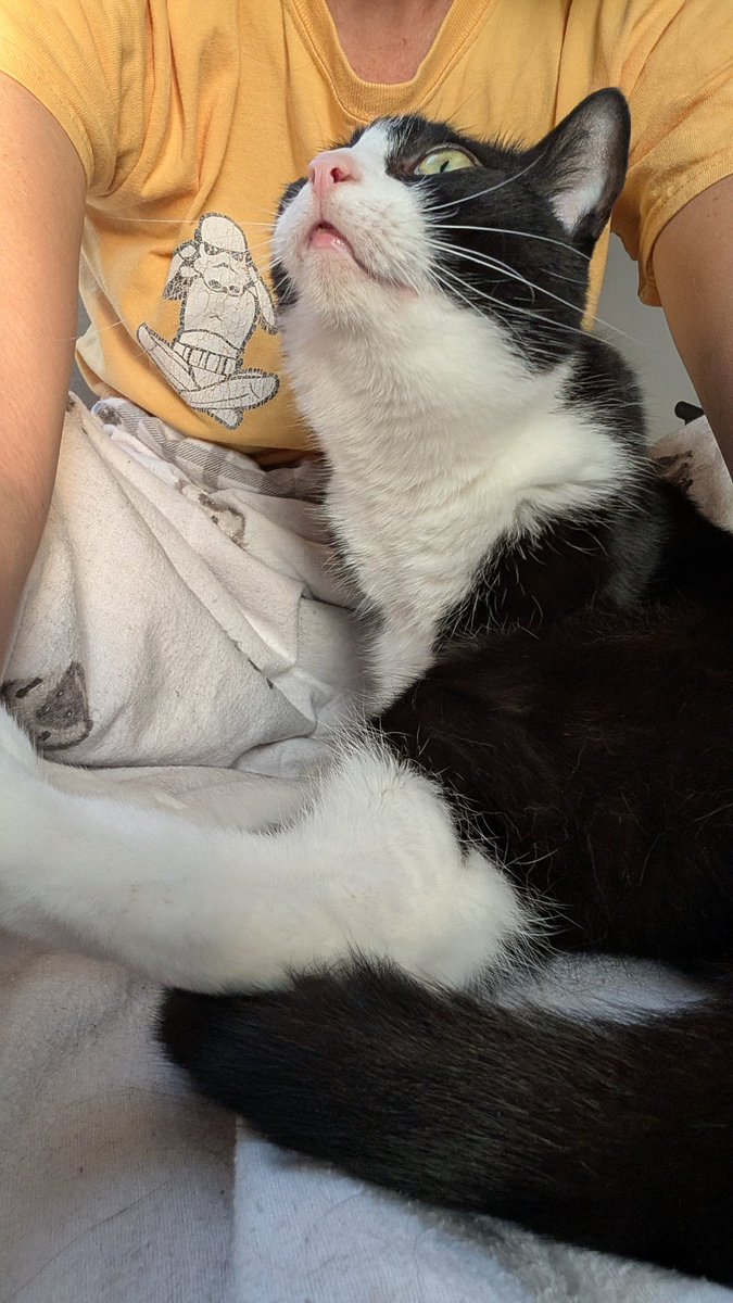 (польська) Баба Срака 🏴󠁧󠁢󠁳󠁣󠁴󠁿 tweet media