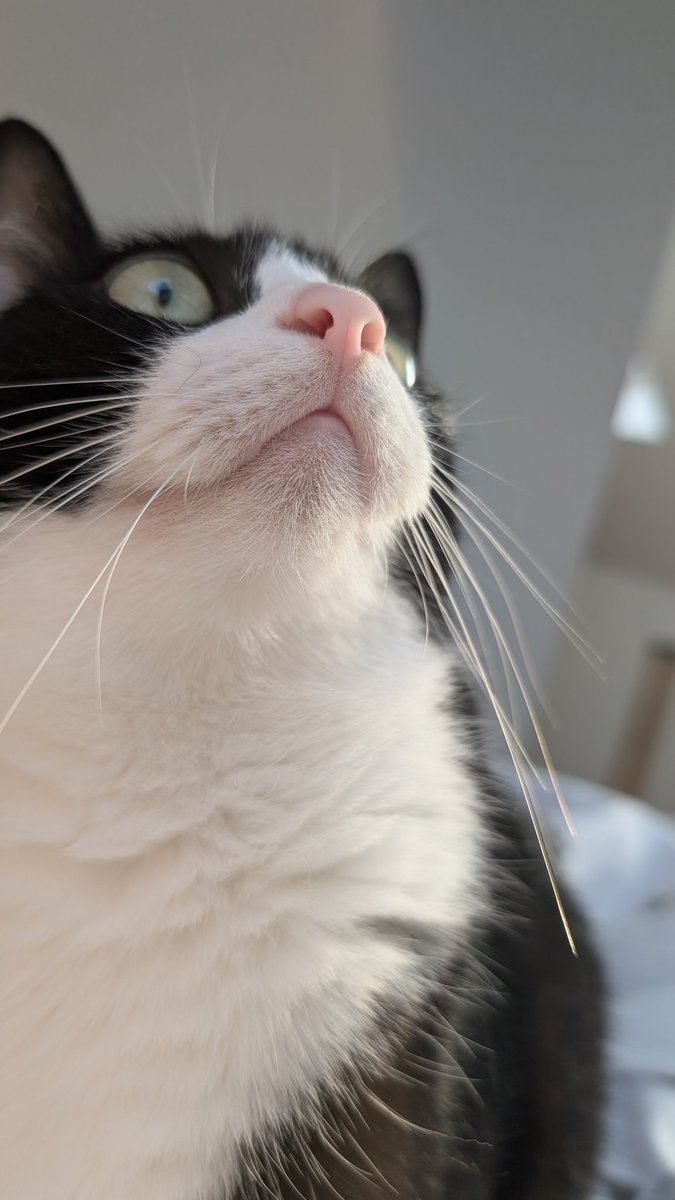 (польська) Баба Срака 🏴󠁧󠁢󠁳󠁣󠁴󠁿 tweet media