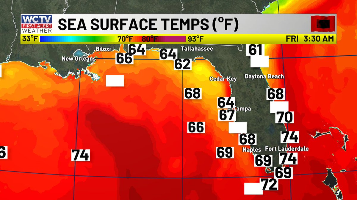 WCTV First Alert Weather tweet media