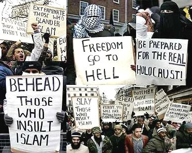 StellarWitt tweet media