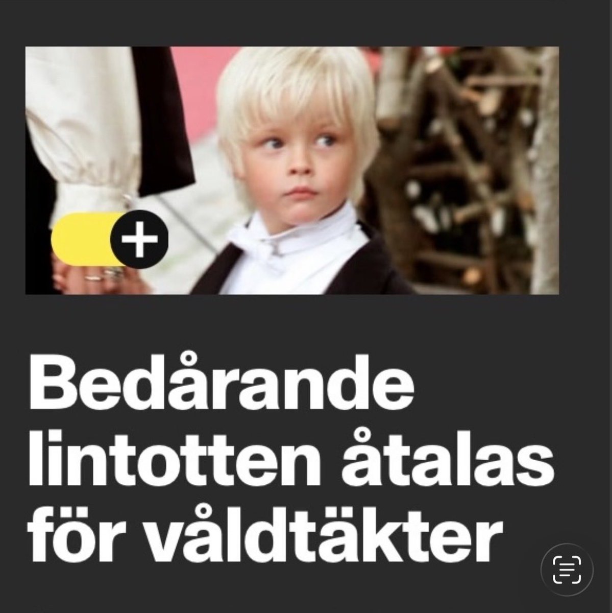 Jenny Strindlöv tweet media