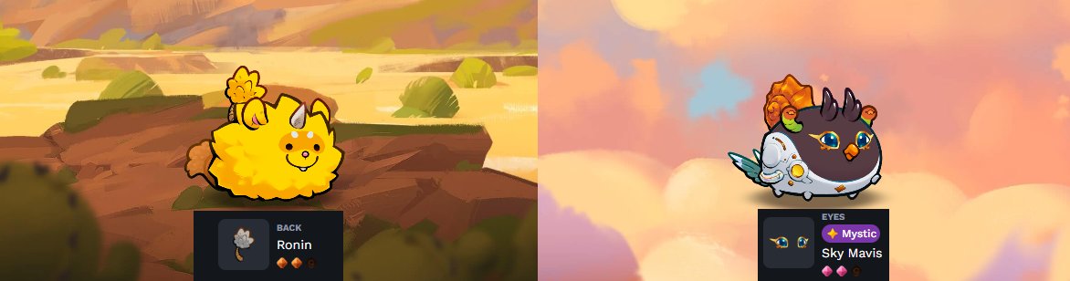 KwazingLife.ron | Axie Infinity tweet media