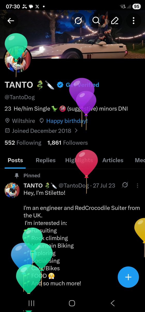 TANTO 🐉🔪 tweet media