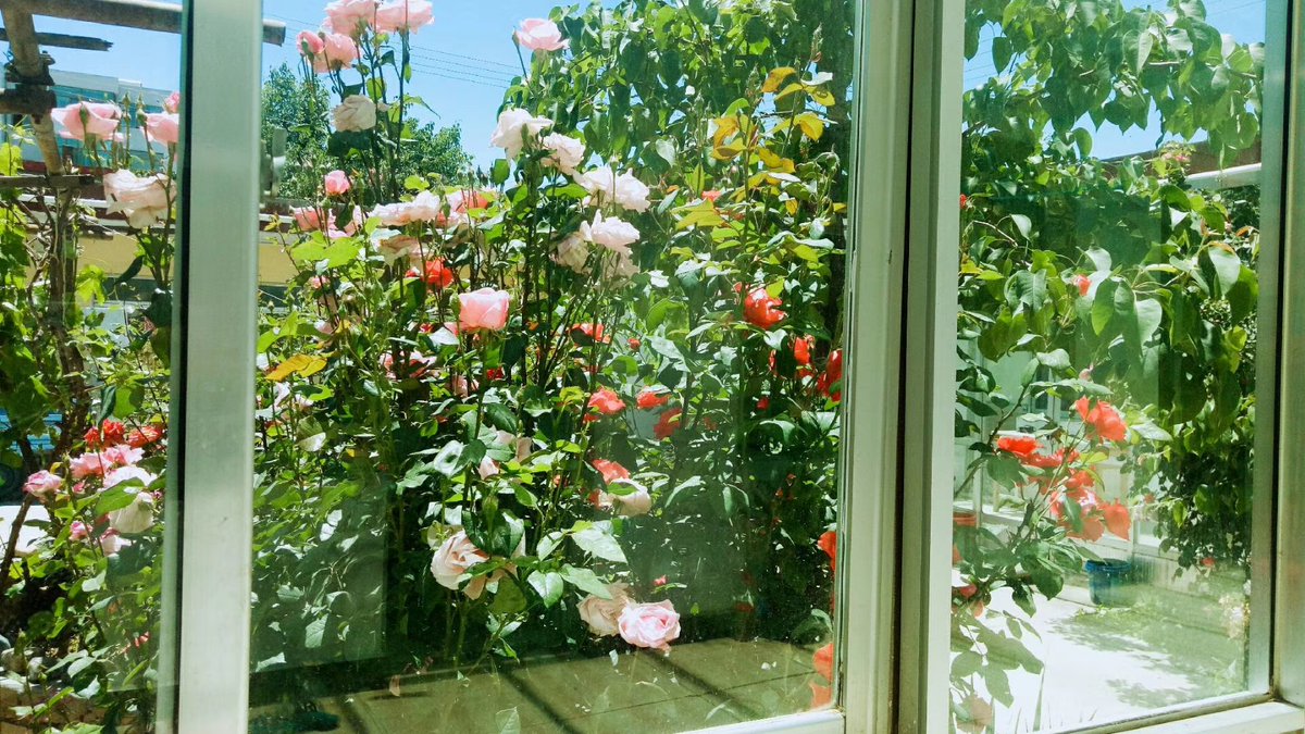 ASTAN JJIMMY tweet media