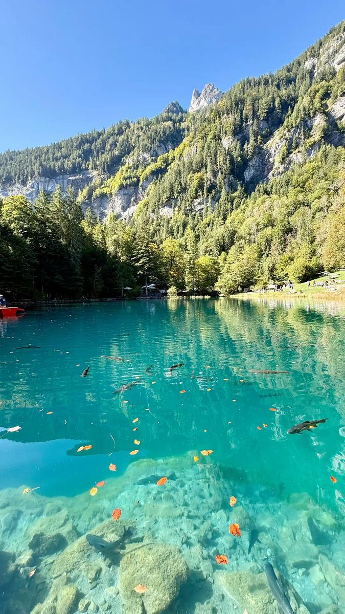 Sachin kumar tweet media