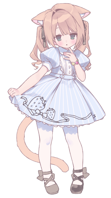 NCC / fevercell tweet media