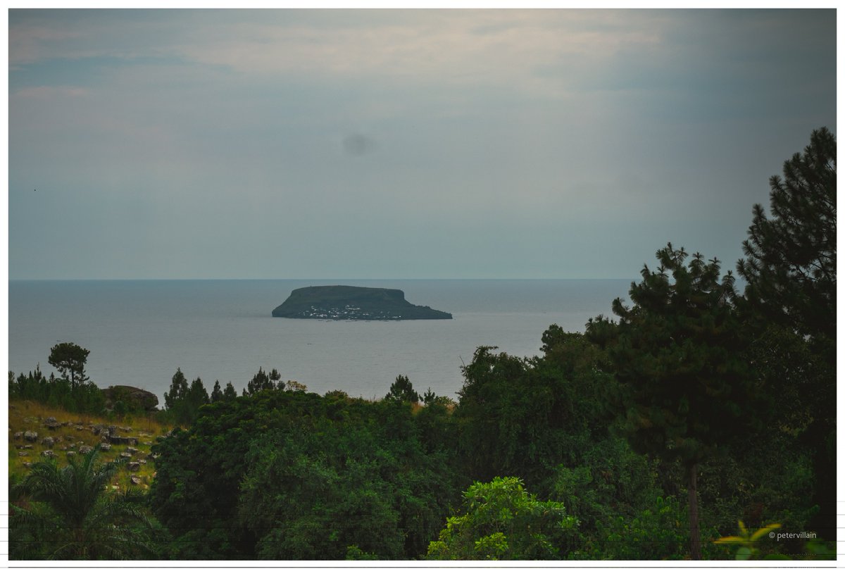 petervillain tweet media