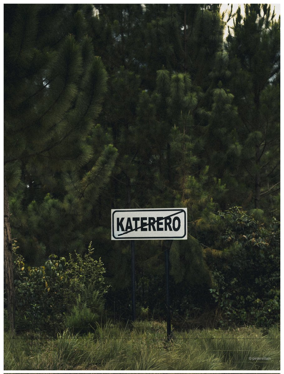 petervillain tweet media