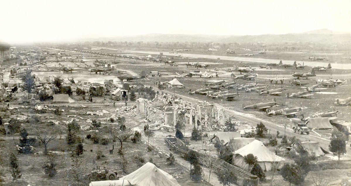 Mike the Warthog tweet media