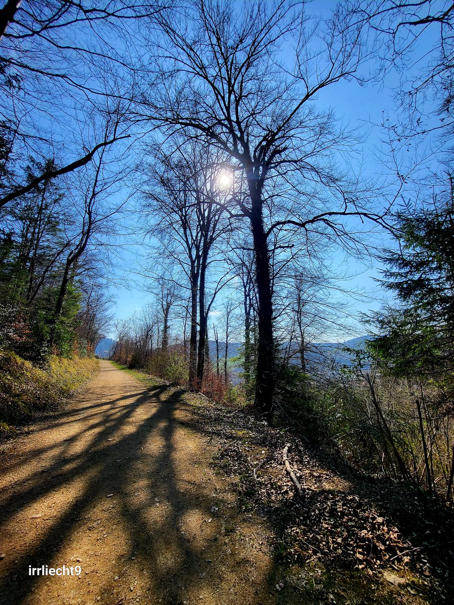 NitramSu tweet media