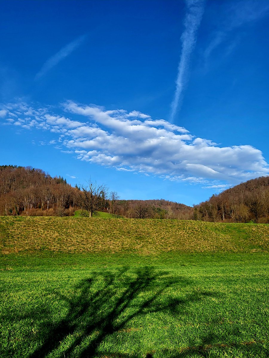 NitramSu tweet media