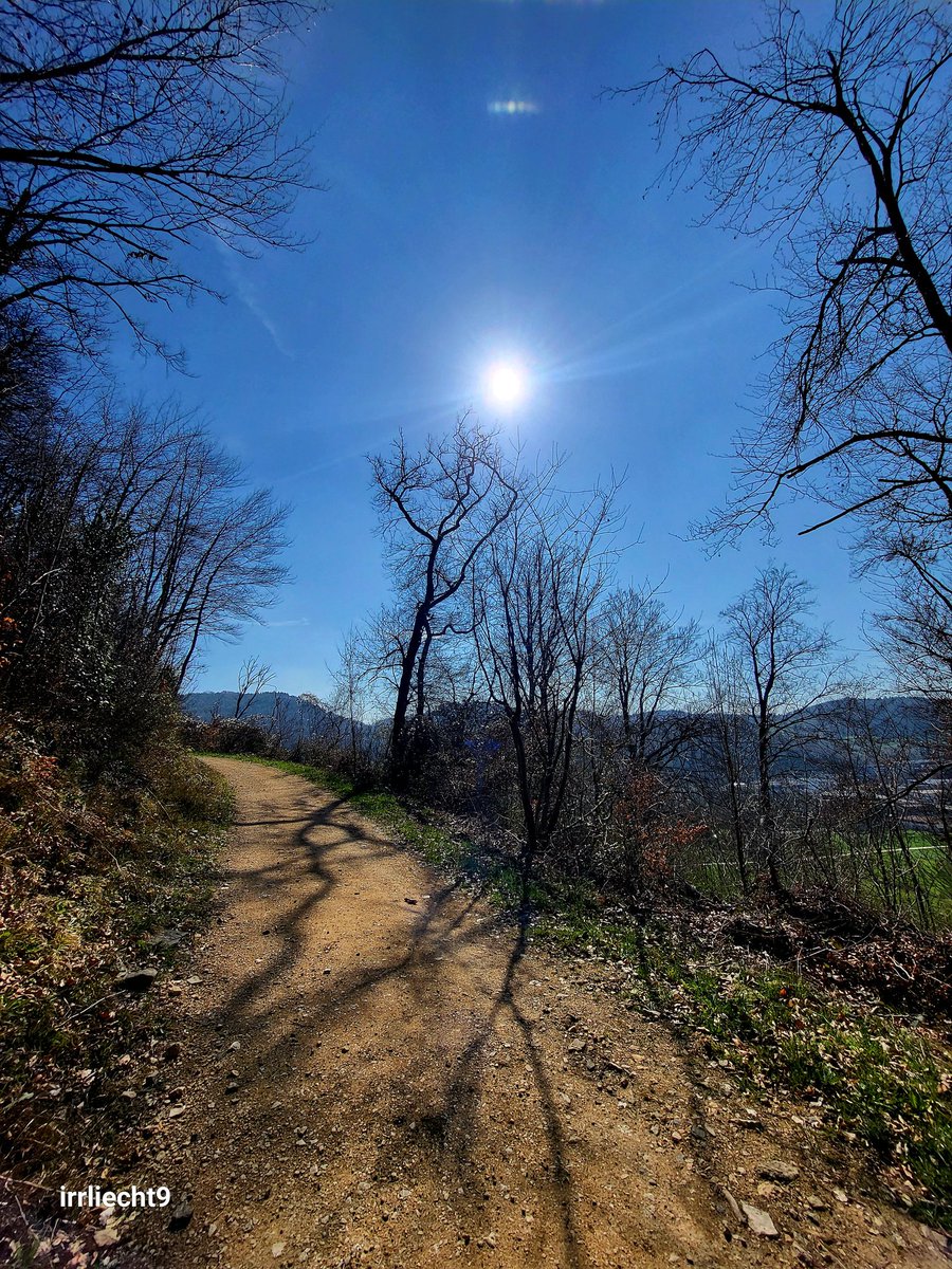 NitramSu tweet media