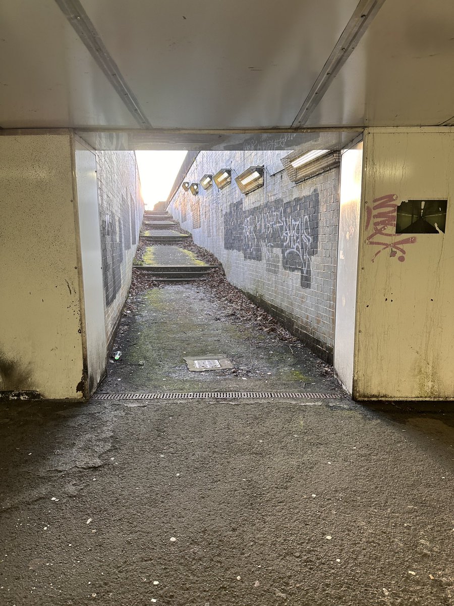 Mouse 🐭 tweet media