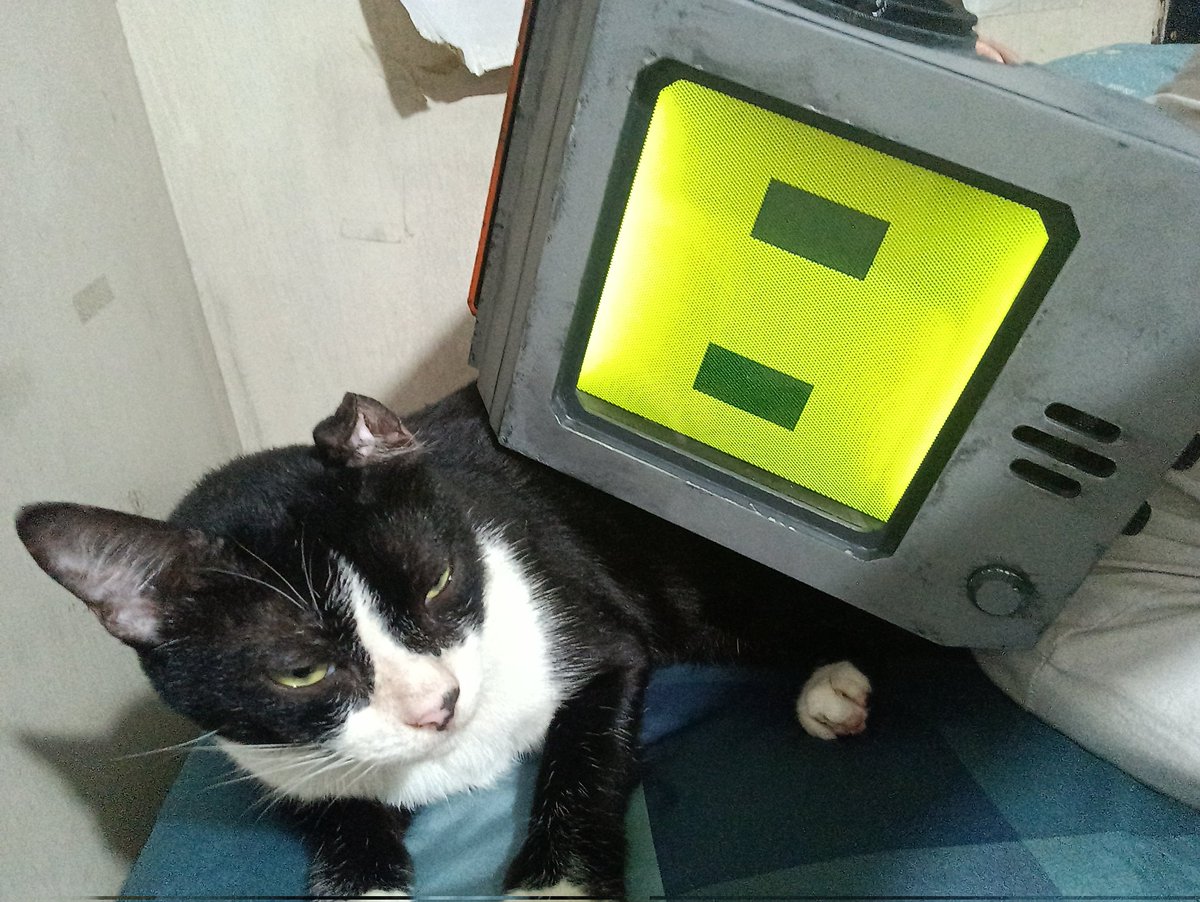 SeaMoon 🤖 tweet media