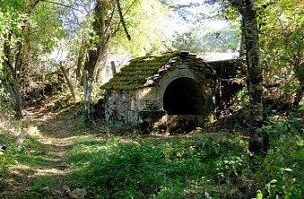 ▪︎ Dan ▪︎ tweet media