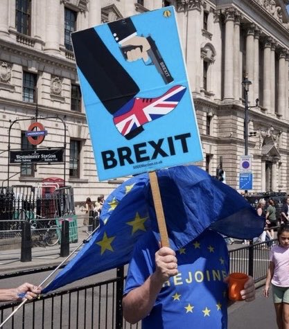 The Rejoin EU Party tweet media