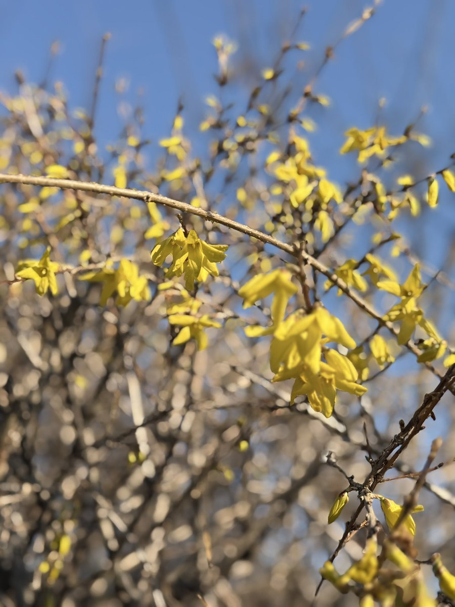 성브로맘 tweet media