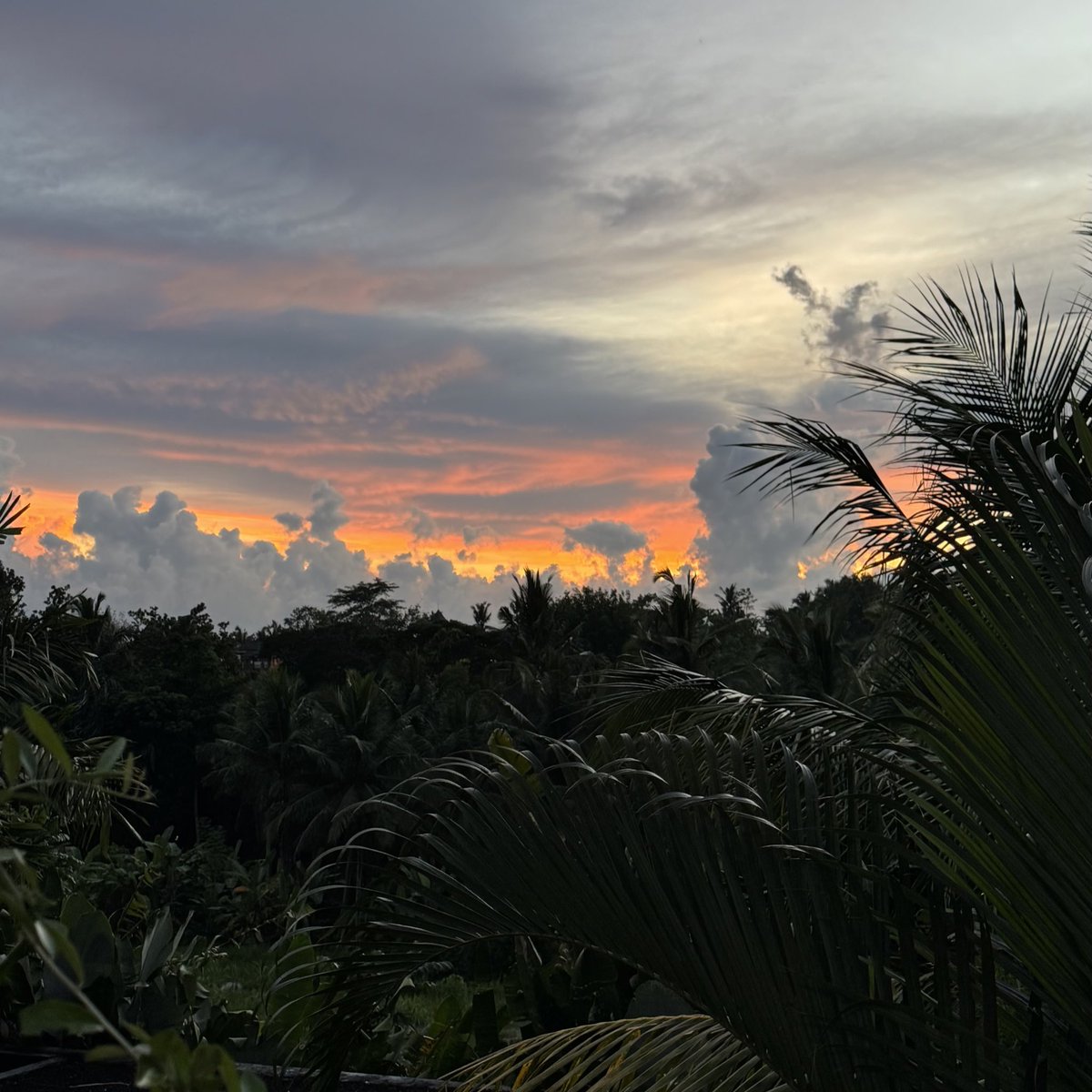 Саша шитпостит tweet media