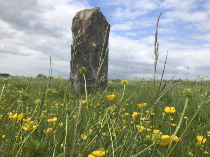 David Cook tweet media