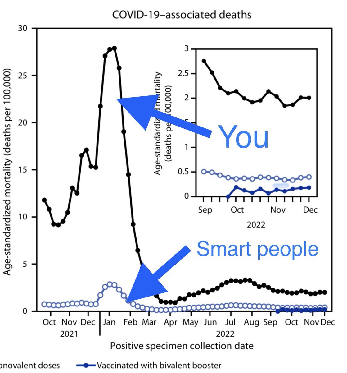 No Such Thing as Too Many Cycles 🐭🌸 tweet media