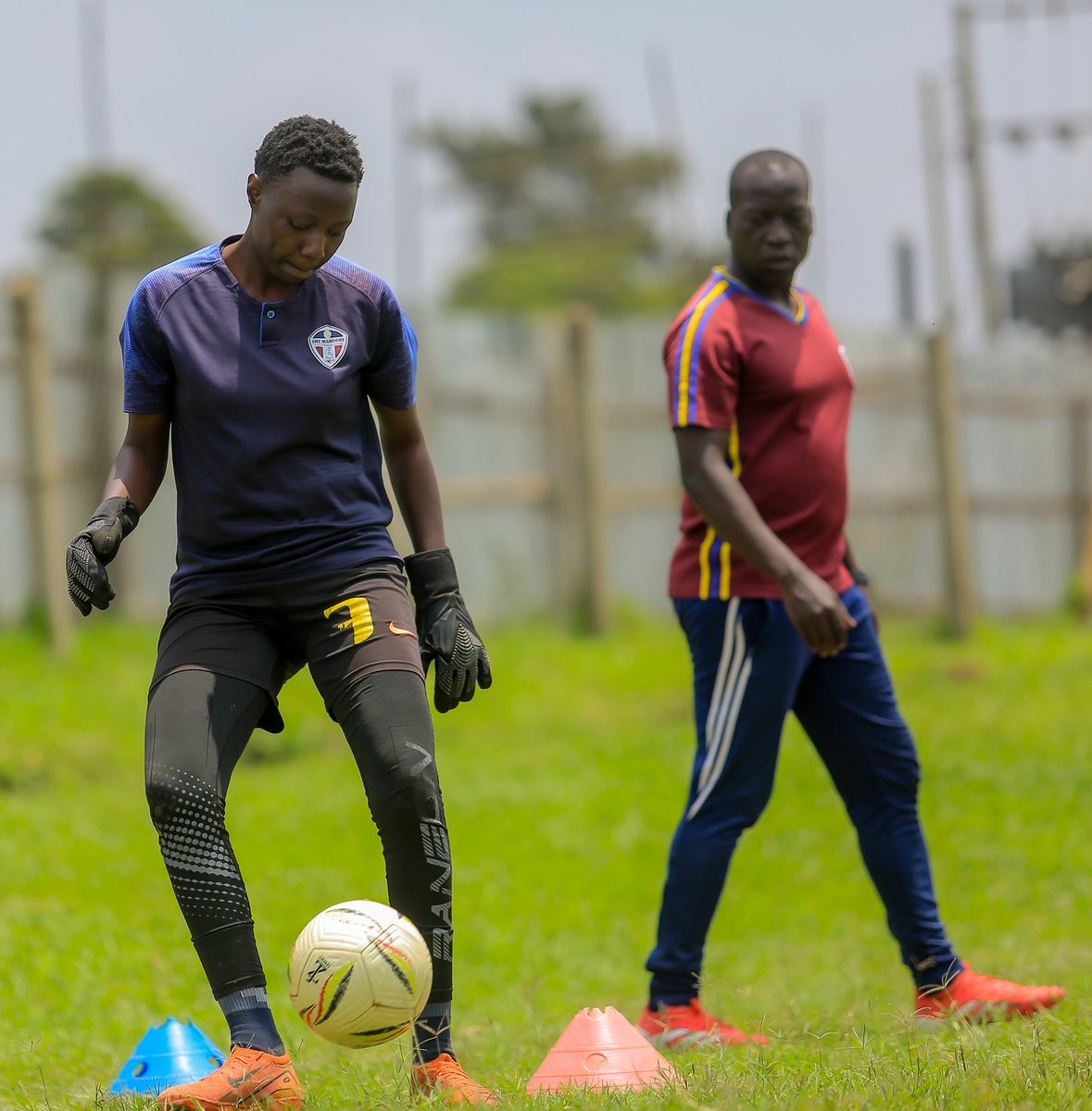 She Maroons Football Club tweet media