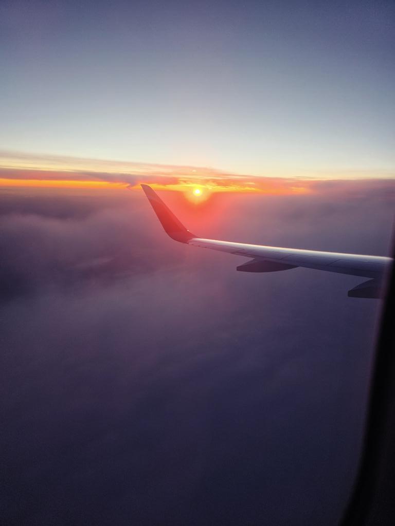 P.S Sεптıмıεптσ Rσנıвʟαпcσ ʟα Rεɢεпcε tweet media