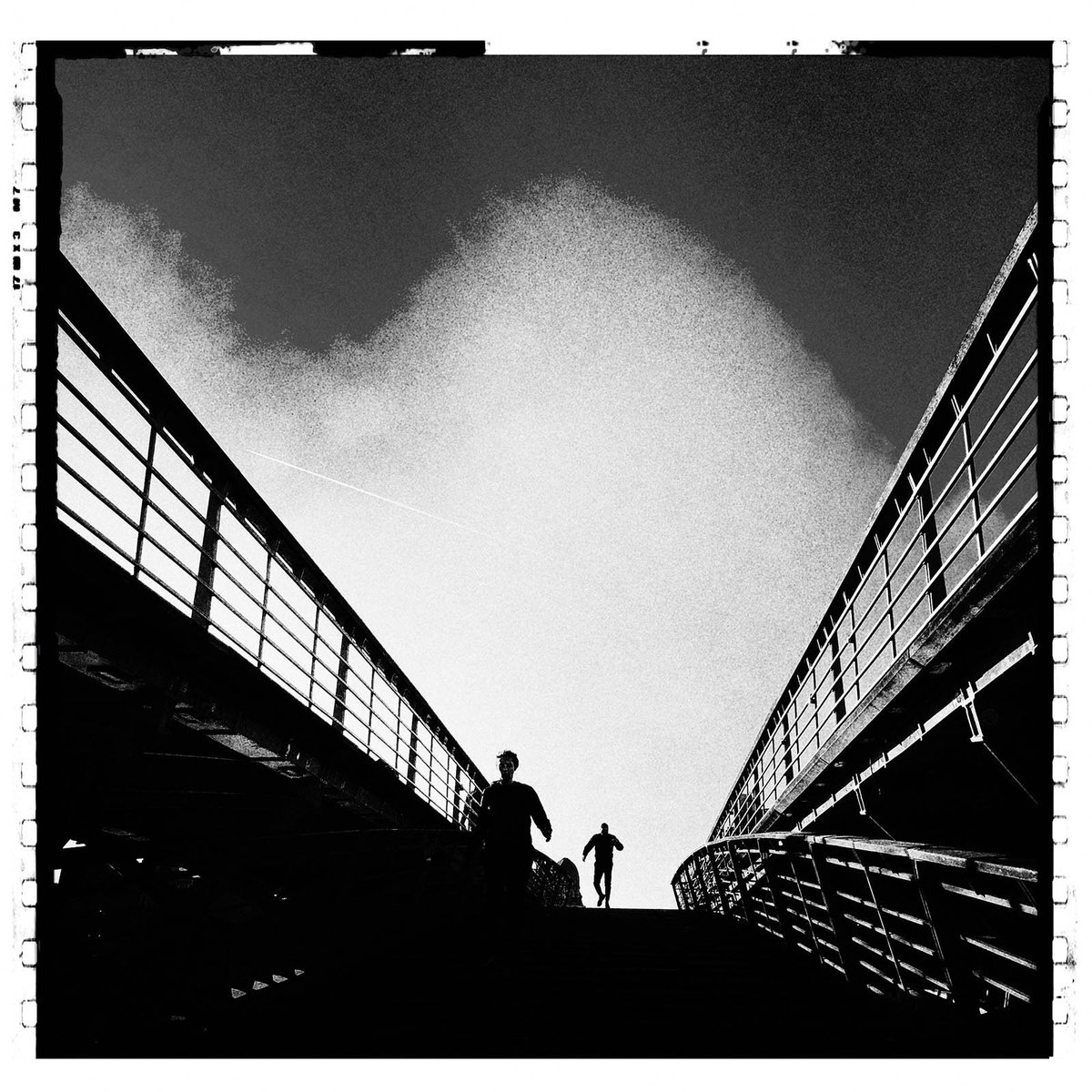 POLAGRAF tweet media