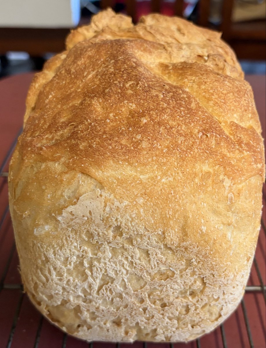 Ian Graves. Neuro Detergent. 🚫Orange Testicle tweet media