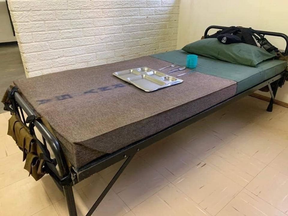 Mike the Warthog tweet media