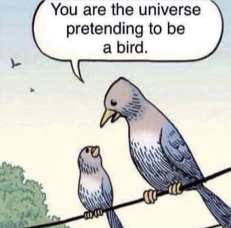 Zen masters tweet media