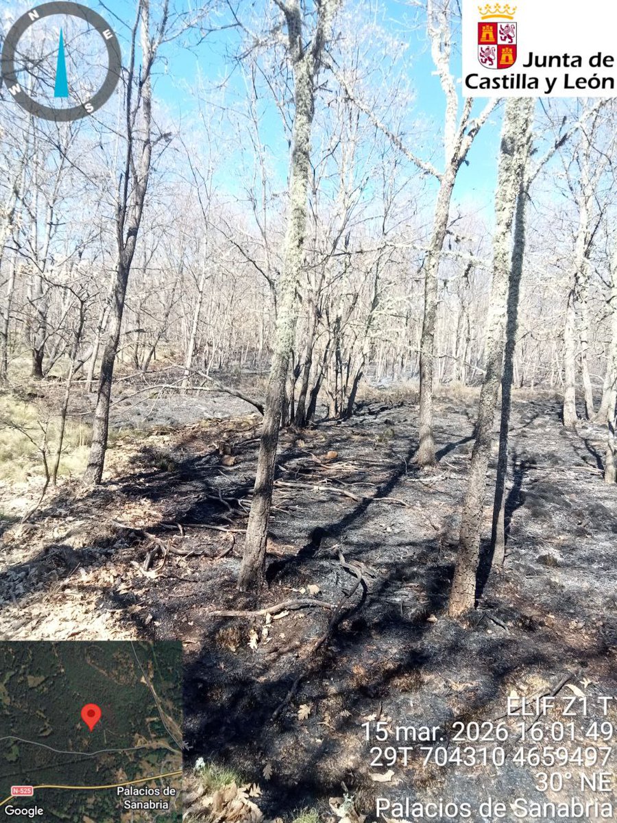 Naturaleza Castilla y León tweet media