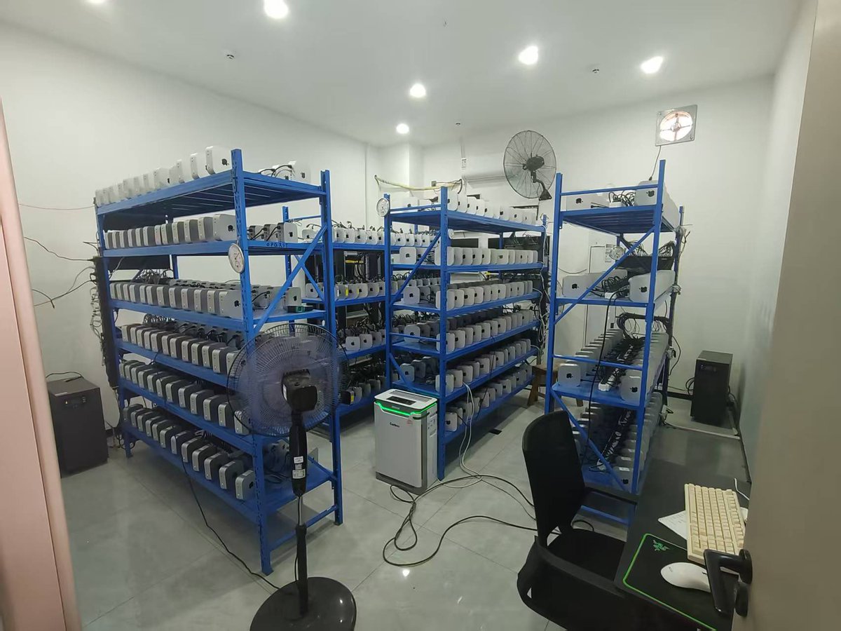 狗哥🔶BNB tweet media