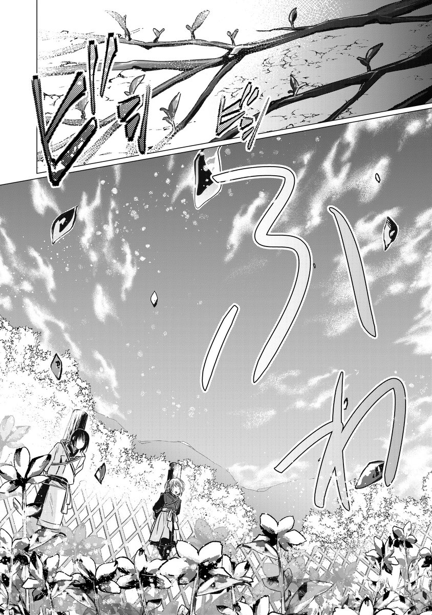 処刑されそうですが、私が本物の聖女です(2/3) 