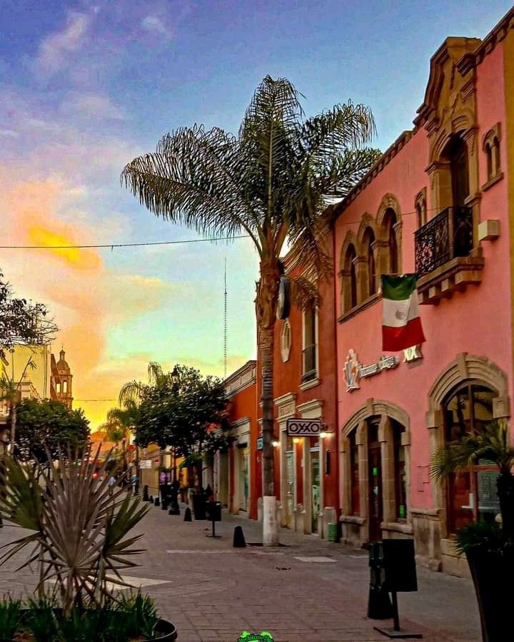 ★ırmak²² 🇧🇷 efeakman'day🎂 tweet media