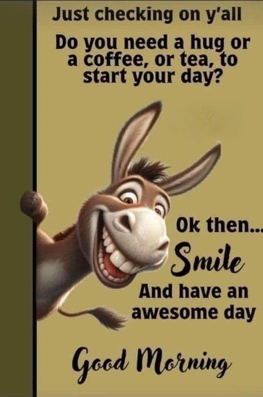 Gin Queen Margo tweet media