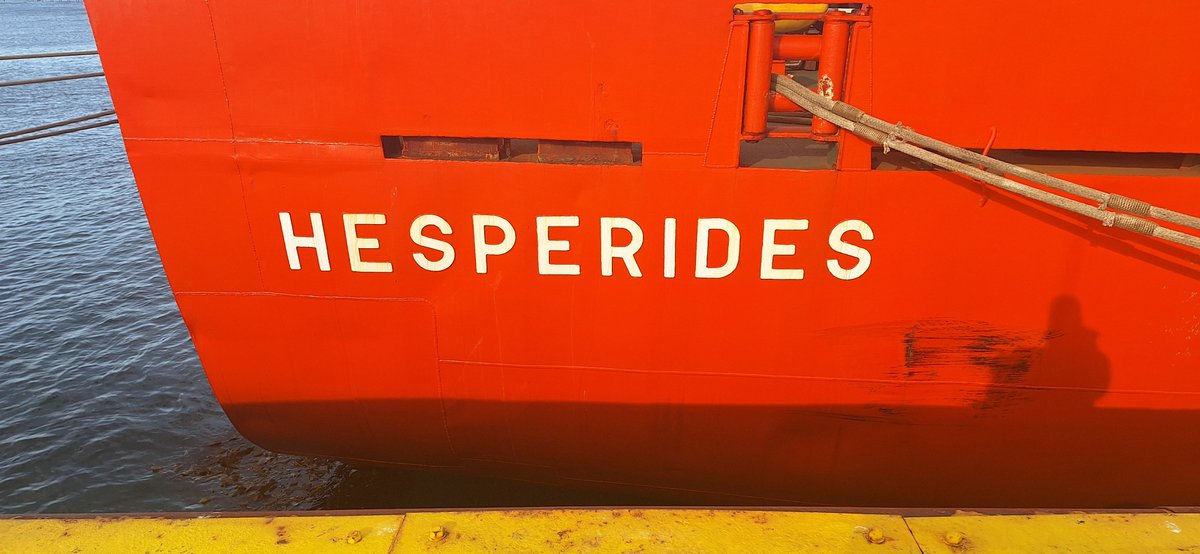 TASMANDRAKE tweet media