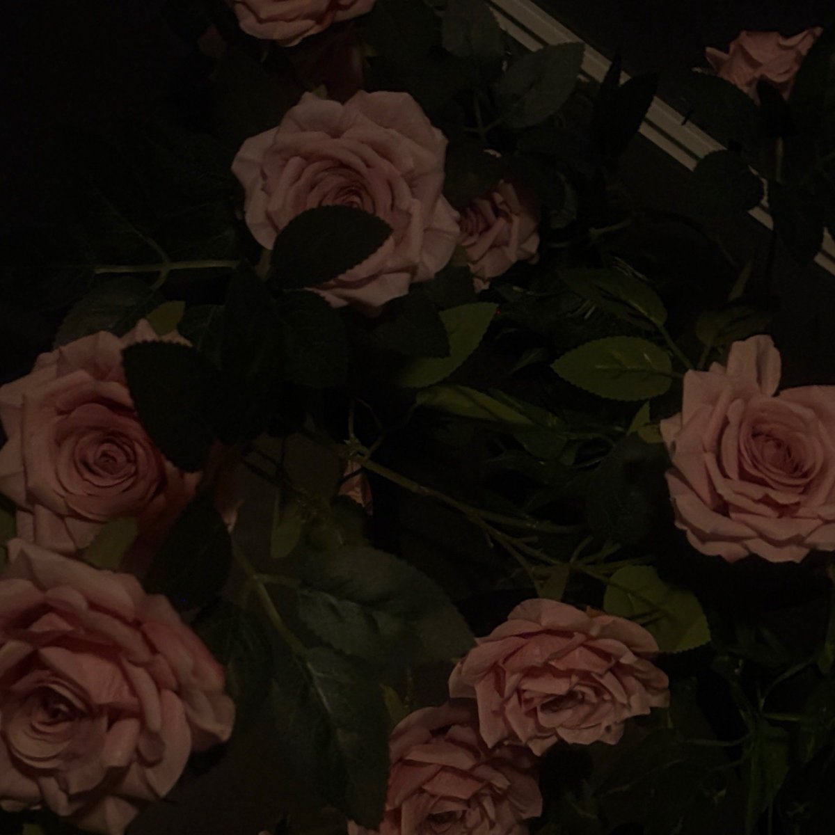 Asa ⊹ ˖ Ი𐑼 tweet media